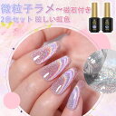 【母の日・5倍P&最大999円OFF券付】 Biutee 超微粒 マグネットネイル 2色 8ml 磁石付 微粒子ラメ ホロ 眩しい虹色 カラージェル ジェルネイ...