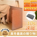 【母の日・5倍P&最大999円OFF券付】 Iseebiz パネルヒーター 足元 省エネ デスク下 足元ヒーター オフィス 静音 遠赤外線 デスクヒーター こた...