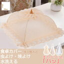 【月末特典5倍P&10%OFF券付】 DEWEL フードカバー 卓上カバー キッチンパラソル ホコリよけ 虫よけ 食卓カバー ディッシュカバー 蚊帳 かや 蝿帳 折りたたみ ご飯 傘タイプ メッシュ シンプル おしゃれ かわいい テーブル 食卓 食事 夜食 ほこり