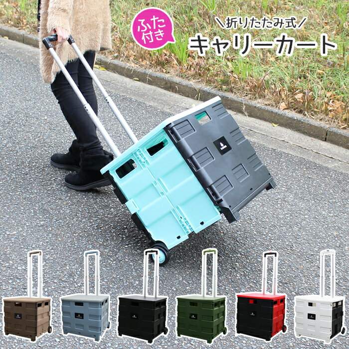 キャリーカート 折りたたみ ふた付き 軽量 買い物 コンテナ カート ショッピングカート 買い物カート キャリー 台車 エコバッグ アウトドア キャンプ スポーツ レジャー 運動会 コンパクト 車載 便利 かわいい おしゃれ ハンドキャリー通販格安セール情報 楽天 通販