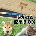 【オリジナル彫刻でいつでもペットと一緒 UCHINOKO-BOX(うちのこボックス)】若狭塗り箸 猫のひげケース おやつボックス 桐箱 愛犬 愛猫 プレゼント ギフト