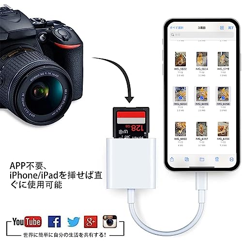 OA機器 デジタル 情報 周辺 機器 パーツ ケース スタンド アクセサリー 部品 マウス デジタル関連 | エレコム USBメモリー USB3.1 Gen1 対応 ノック式 オートリターン機能付 64GB レッド MF-PKU3064GRD