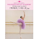 【チャコット 公式(chacott)】【DVD】ワガノワ ヴァリエーション・レッスン7 「サタネラ」「パキータ」