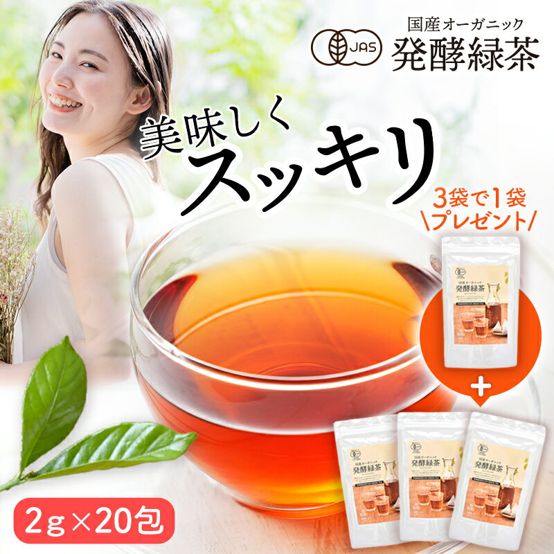 ダイエット茶【姫茶（ヒメチャ）100g】3個以上代引送料無料!5個で1個オマケ♪毎日飲める美味しいお茶でスリムを目指す♪ダイエット茶 ダイエットティー 緑茶ダイエット飲料 ダイエットドリンクダイエット茶 姫茶（ひめちゃ）