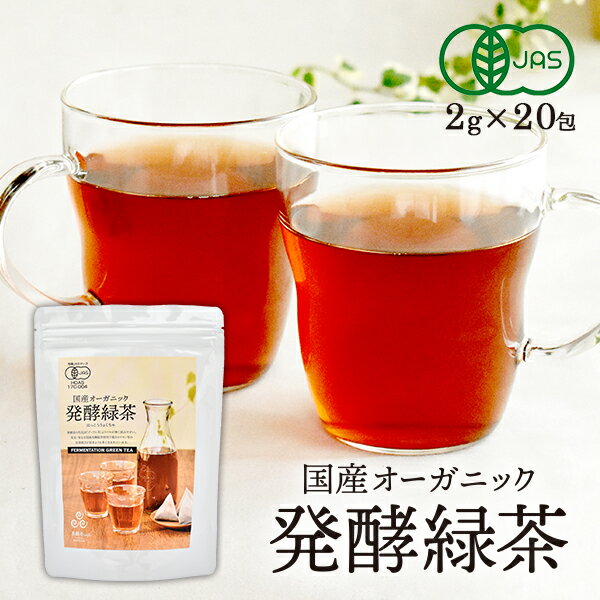 オーガニック 発酵緑茶【2g×20包】国産 プーアル茶 プーアール茶 ルイボスティ ダイエット茶 ダイエット緑茶 ダイエットお茶 健康茶 ダイエットティー ダイエット飲料 醗酵 有機 オーガニック緑茶パック ポリフェノール カテキン