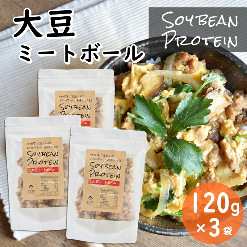 【お得な3袋セット】SOY BEAN PROTEIN 大豆ミートボール（120g×3袋）| ソイビーン シリアル 大豆ミート 大豆プロテイン 大豆イソフラボン 低糖質 グルテンフリー ソイミート 大豆ミートダイエット 大豆のお肉 畑のお肉 代替肉 ヴィーガン ベジタリアン ビーガン ダイエット