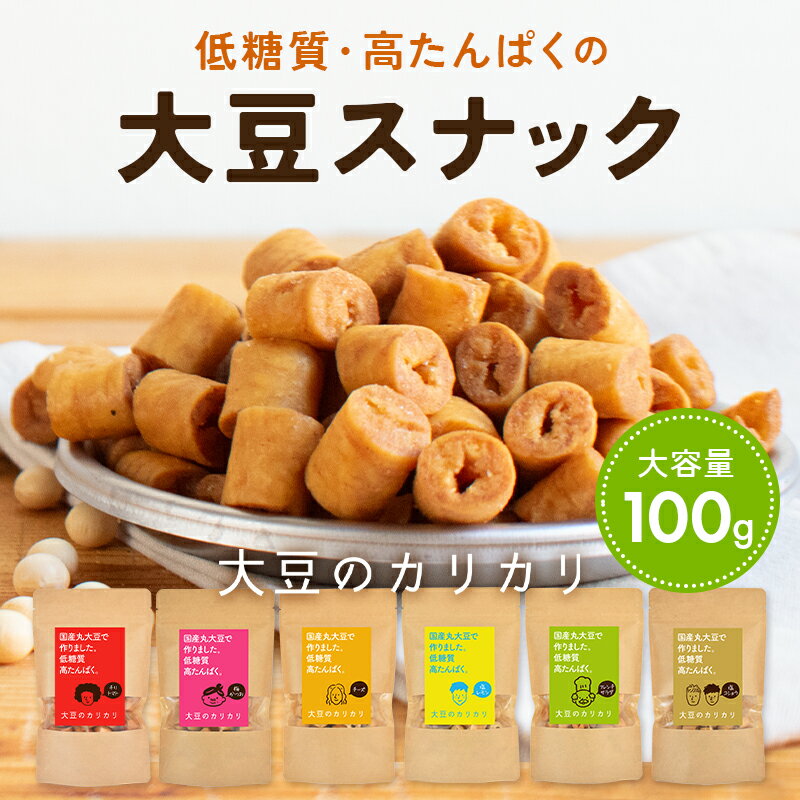 【大容量】大豆のカリカリ（100g）| 高たんぱく 高タンパ