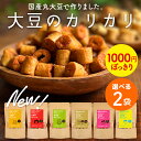 【選べる2個セット】【1000円ぽっきり】大豆のカリカリ| 高たんぱく 高タンパク タンパク質 低糖質 糖質制限 糖質オフ 大豆 プロテイン イソフラボン ロカボ 国産大豆 ダイエット お菓子 おやつ おつまみ スナック 大豆お菓子 大豆菓子 ダイエットお菓子 ダイエットクッキー