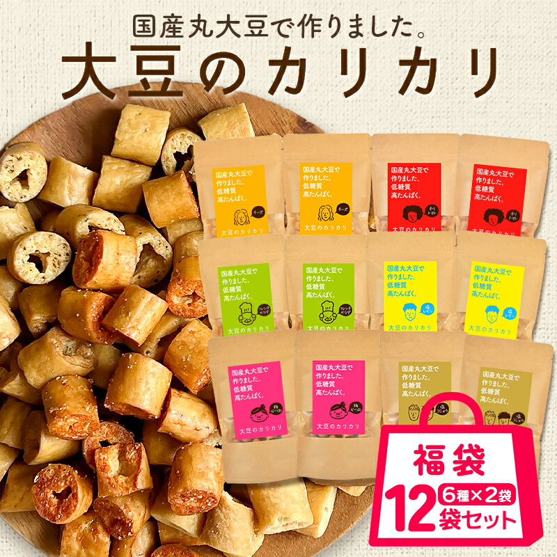 【超お買い得】大豆のカリカリ 福袋【6種類×各2個の12袋セット】| 高たんぱく 高タンパク タンパク質 低糖質 糖質制限 糖質オフ 大豆 プロテイン イソフラボン 健康志向 ロカボ 国産大豆 ダイエット お菓子 おやつ おつまみ スナック 大豆お菓子 大豆菓子