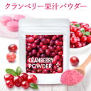 クランベリー果汁パウダー 40g | 製菓用 製菓用パウダー クランベリー ベリー 果汁 粉末 パウダー クランベリー粉末 無添加 お料理 スパイス 料理スパイス ケーキ ベーカリー用 製菓用粉末 国…