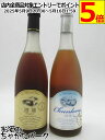 【飲み比べ2本セット】 紹興酒 古越龍山 澄龍(チェンロン) 純龍(ジュンリュウ) 500ml×2本
