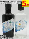 【ミニサイズ】 日新酒類 AWA GIN アワ ジン (スタンダード/クリアボトル) クラフトジン 45度 200ml×2本セット