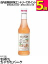 【ミニサイズ】 モナン ホワイトピーチ (ペシェ) シロップ 小瓶 250ml