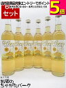 【6本セット】 ハニー リッチ プレーン ミード 500ml×6本セット