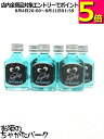 クライナーファイグリング ペパーミント ミニチュア 15度 20ml×6本セット