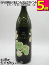【焼酎祭り998円均一】 宗政酒造 のんのこ ザ アップル THE APPLE 麦焼酎 25度 900ml ■まるで青りんご