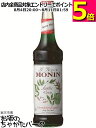 モナン グリーンミント シロップ 700ml