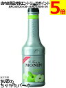 モナン グリーンアップル フルーツピューレ フルーツミックス シロップ 1000ml