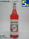 モナン バブルガム シロップ 700ml