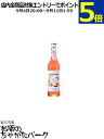 モナン ホワイトピーチ (ペシェ) シロップ 700ml