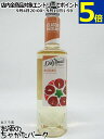 ダヴィンチ グルメ クラシック ヘーゼルナッツ シロップ 750ml