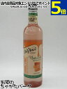 ダヴィンチ グルメ クラシック ナチュラル ハワイアンソルトキャラメル シロップ 700ml