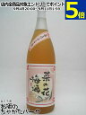 白金酒造 菜の花梅酒 1800ml
