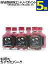 クライナーファイグリング レッドベリーサワー ミニチュア 15度 20ml×6本セット