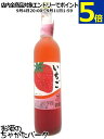 梅ヶ枝酒造 たっぷり苺 すりおろした苺の果肉入り 500ml