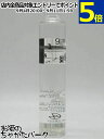 【ミニサイズ】 紅櫻蒸留所 9148 ジン レシピ0106 パウダースノー 45度 200ml