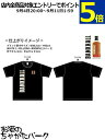 【BANKHALLのロゴ入りLサイズTシャツ1枚付き】 バンクホール ブリティッシュ シングルモルト 正規品 40度 700ml
