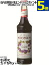 モナン バイオレット シロップ 700ml