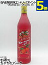 キングストン レッドキュラソー 24度 700ml