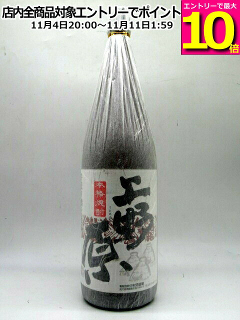 マラソン期間中エントリーでポイント...