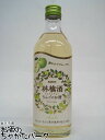 キリン 林檎酒 りんちんちゅう りんごのお酒 500ml