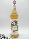 モナン アプリコット シロップ 700ml