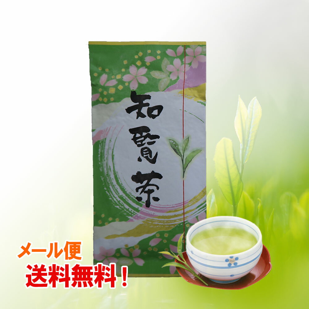 鹿児島県産 知覧茶 送料無料 95g 日