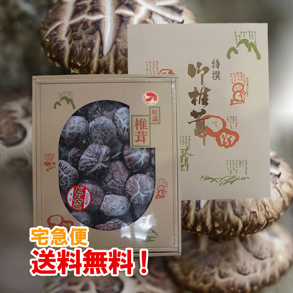 特撰 どんこ椎茸 210g 原木栽培 干し椎茸 熊本県産 ギフト 御中元 御歳暮 母の日