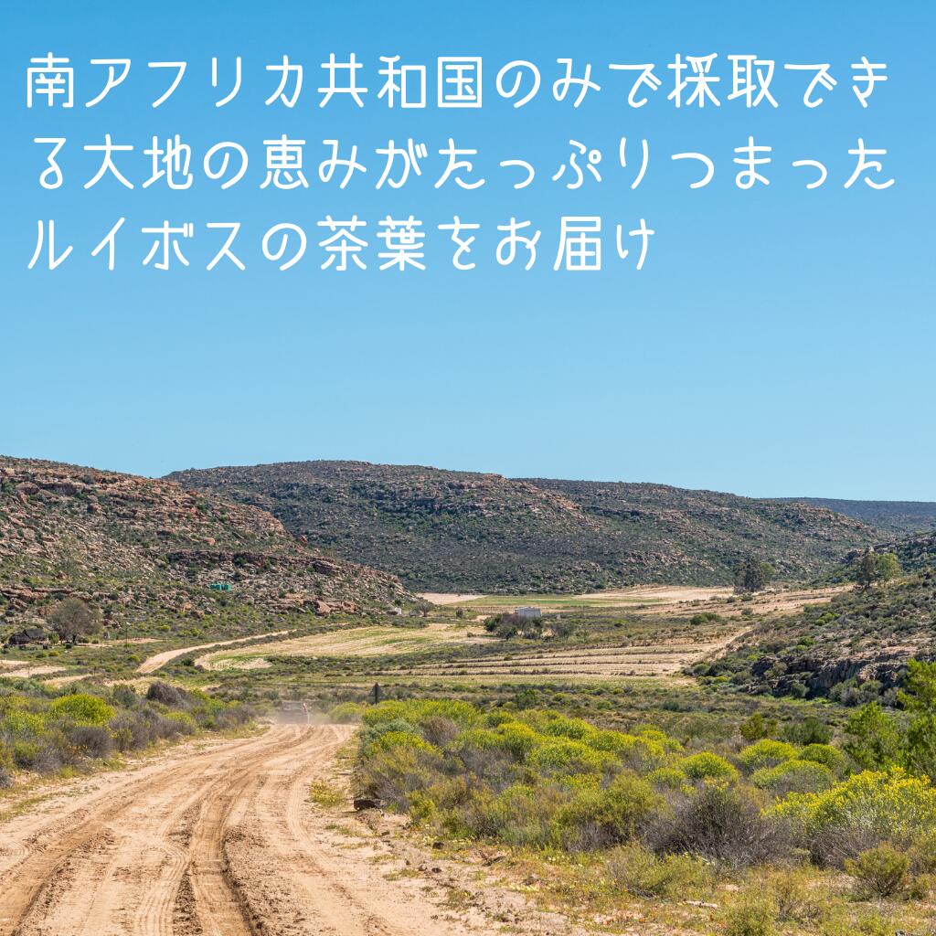 ルイボスティー ティーバッグ【ルイボスティー】の紹介画像3