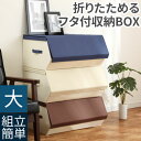 カラーボックス マルチケース 収納箱 道具箱 魅せる収納 収納 ボックス 整理ケース 小物 洋服 衣類収納 収納ボックス 前開き 布 蓋つき スタッキングボックス マグネット ファブリックボックス 積み重ね インナーボックス シンプル おしゃれ