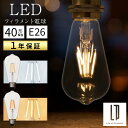 LED 電球 E26 40W 相当 電球色 昼白色 レトロ エジソン球 裸電球 おしゃれ 広配光 LEDフィラメント電球 ガラス 透明 クリア電球 フィラメント レトロ電球 ナス型 ロング 細長 雫形 しずく形 直径64mm 6.4cm ホワイト/イエロー LIT000133