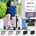 子ども 乗れる キャリーケース 約 幅50cm 高さ40cm 奥行28cm スーツケース 2泊3日 小さい キャリーバッグ 28L 旅行カバン コロコロ ダブルキャスター グレージュ/さくらピンク/ラベンダー/ネイビー/ブラック ETC001642