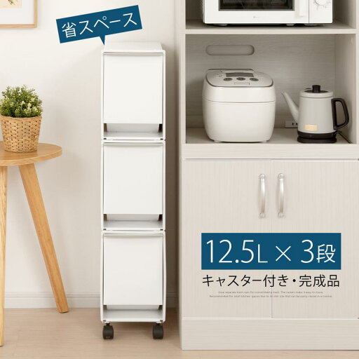 ダストボックス ダストBOX スリム ごみ箱 ゴミ箱 ごみばこ キッチン用品 ゴミ入れ エコ 環境 キャスター付き 分別 室内 雑貨 資源 ゴミ 縦型ゴミ箱 レジ袋 簡単 おしゃれ 1列タイプ ダストボックス ダストBOX スリム ごみ箱 ゴミ箱 ごみばこ キッチン用品 ゴミ入れ エコ 環境 キャスター付き 分別 室内 雑貨 資源 ゴミ 縦型ゴミ箱 レジ袋 簡単 おしゃれ 1列タイプ