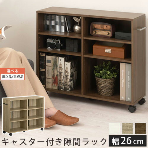 【組立品/完成品が選べる】 シェル