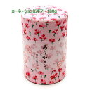 2025年 新茶 お茶 ギフト|新茶ギフト#63 カーネーション缶(特上知覧茶) 100g|鹿児島茶 煎茶 深むし茶 リーフティ 茶葉 セット ギフトセット 贈り物 プレゼント お茶 緑茶 日本茶