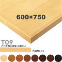 送料無料下穴なし プロ仕様 テーブル天板のみ 【カラー:5N/8N/9N/3N/2N/1N/11N/6T】(T09 W600×D750mm 天板厚25mm)T-...