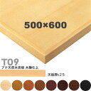 送料無料下穴なし プロ仕様 テーブル天板のみ 【カラー:5N/8N/9N/3N/2N/1N/11N/6T】(T09 W500×D600mm 天板厚25mm)T-...