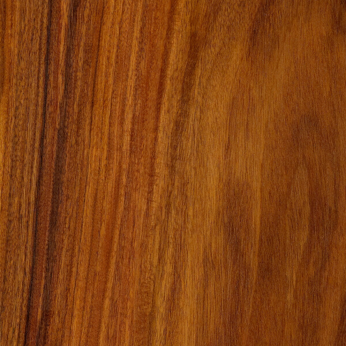 �����ॺ EAMES ���ե� 3������ �����롧��������ʥå�/ĥ�ϡ���סʥ֥�å��ˡڥϡ��ޥ�ߥ顼��*LRS*