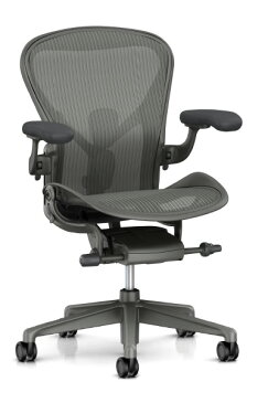 アーロンチェア リマスタード カーボン DC1キャスター Bサイズ ポスチャーフィットSL ハーマンミラー AeronChairs Remastered 新型 チェア引取サービス/ヤマト家財便 AeronChair HermanMiller 送料無料