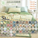 夏用 肌掛け布団 洗える 肌布団 ウォッシュコットン 掛け布団 エアコン対策 寝具 夏布団 涼感 シングル ダブル 薄手 お昼寝ケット 丸洗いOK 子供用 布団...